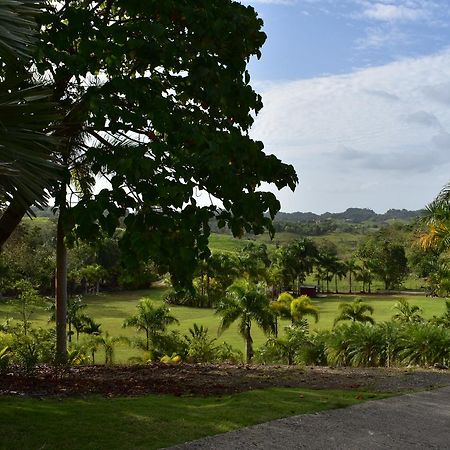 Hotel Hacienda Agroturistico Vista Hermosa Camuy Bagian luar foto